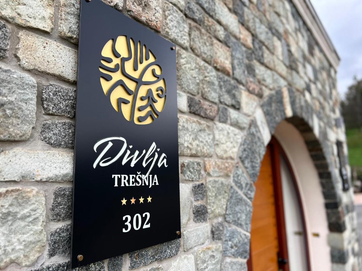 Toplik Village Resort Lukavica Extérieur photo